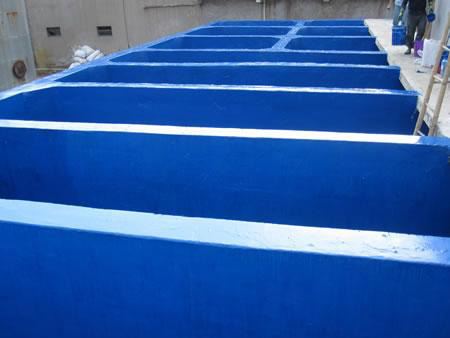 ��������Ƭ����