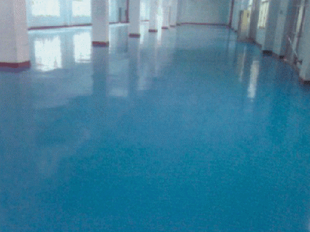 ��������Ƭ����