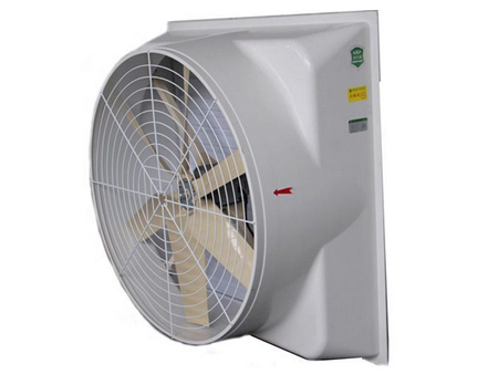 �����ַ��